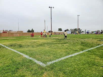 Soccer Field image 1
