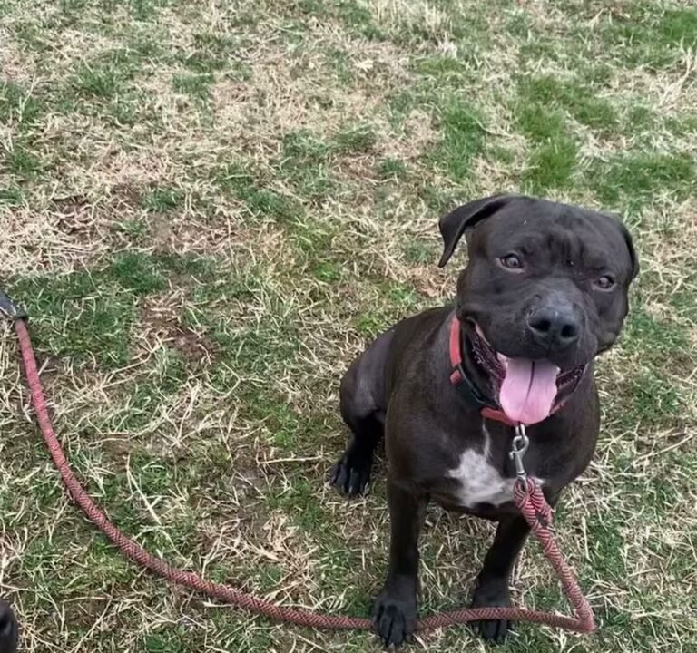 Soccer Field image 4