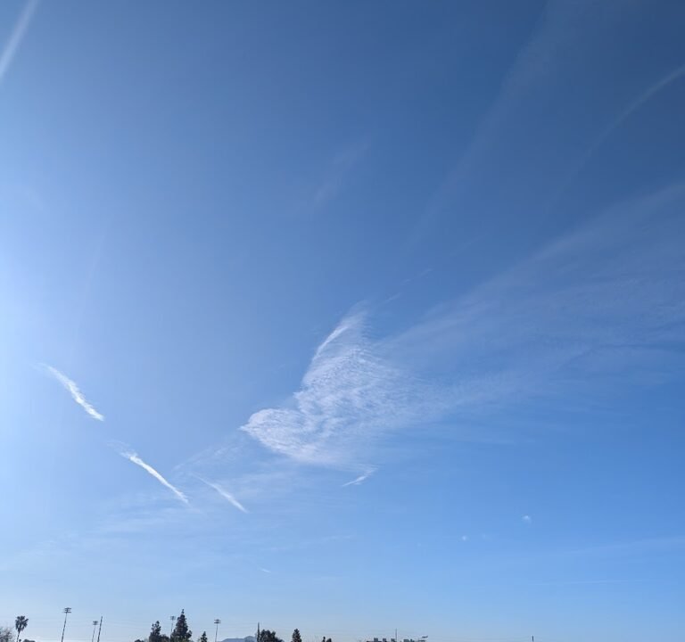 Soccer Field image 3