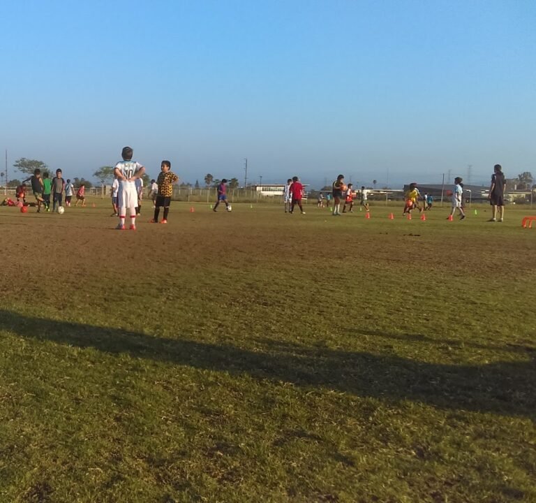 Soccer Field image 2