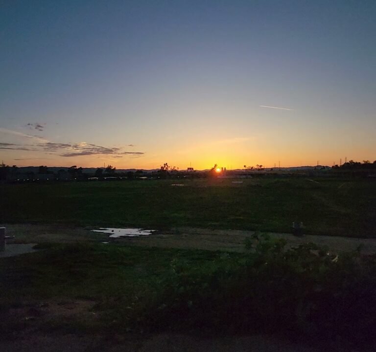 Soccer Field image 4