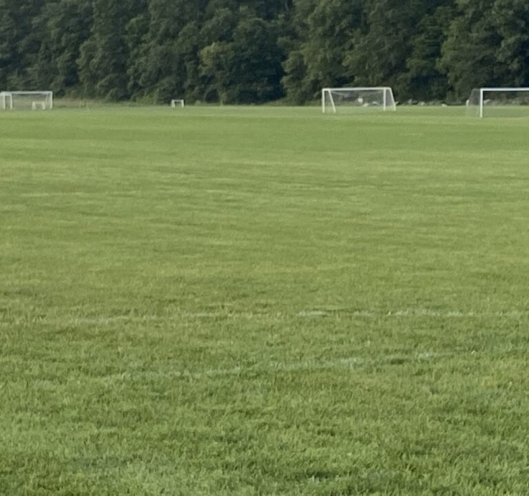 Soccer Field image 3
