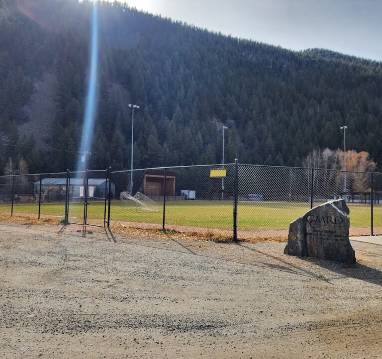 Soccer Field image 2