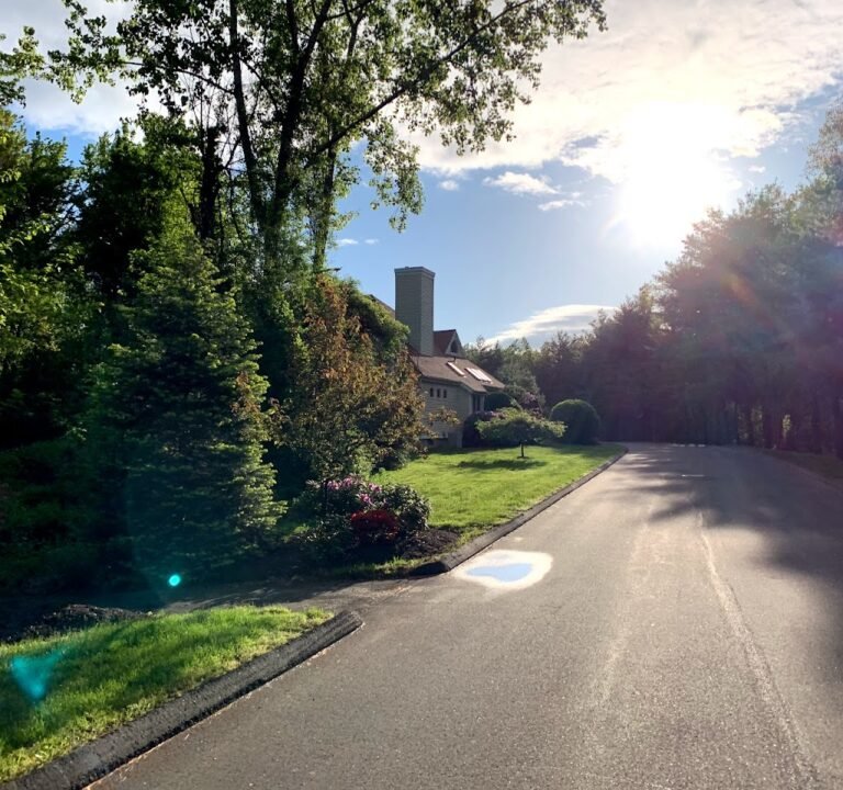 Soccer Field image 2