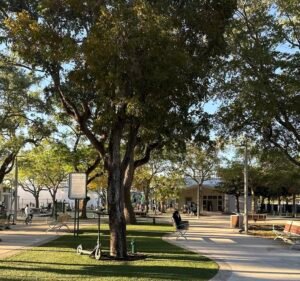 Soccer Field image 3