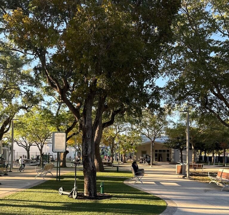 Soccer Field image 3