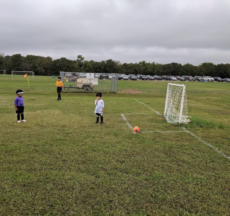 Soccer Field image 2