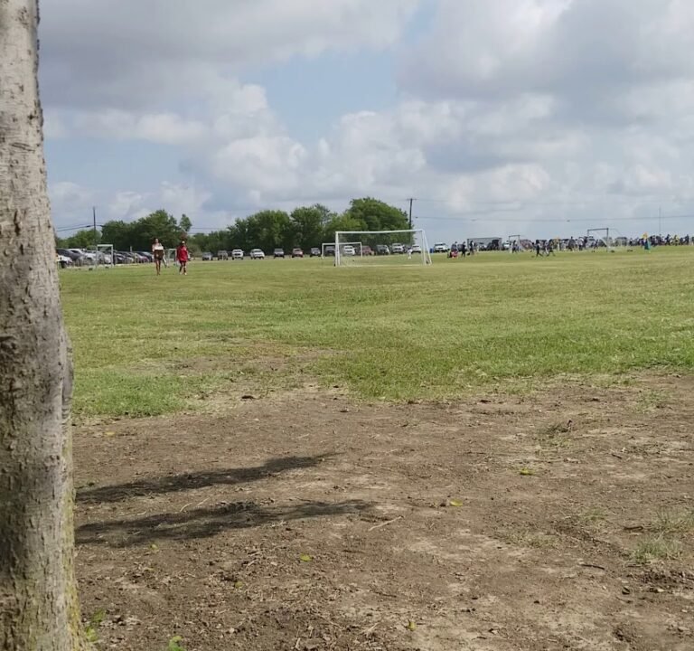 Soccer Field image 4