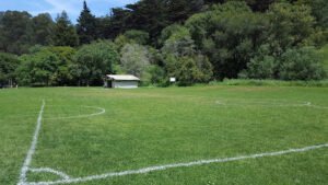 Soccer Field image 1