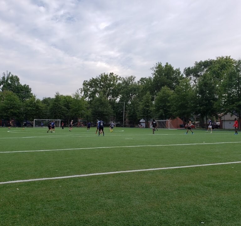 Soccer Field image 3