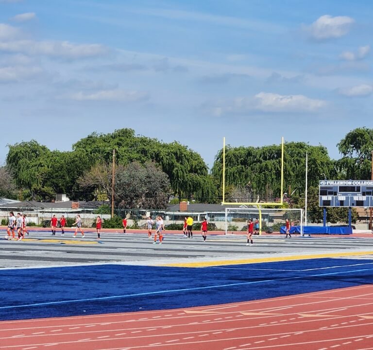 Soccer Field image 3