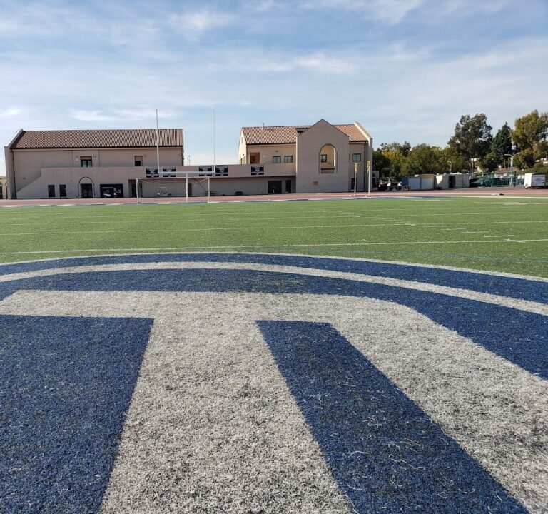 Soccer Field image 2