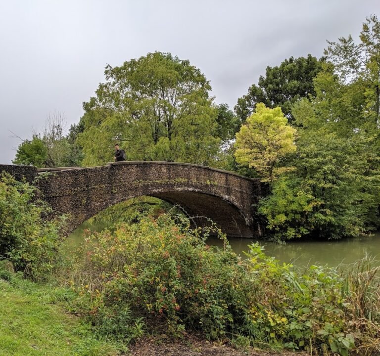 Soccer Field image 2