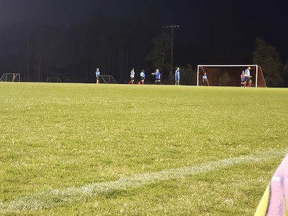 Soccer Field image 1