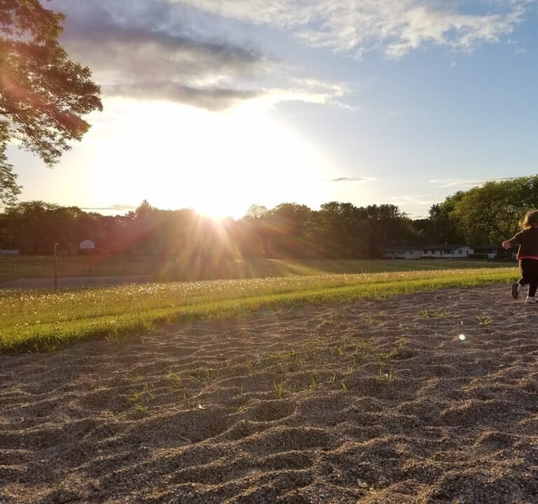 Soccer Field image 2