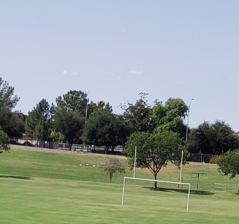 Soccer Field image 2