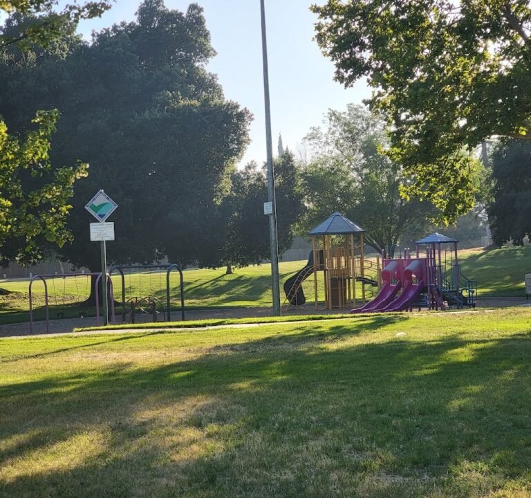 Soccer Field image 2
