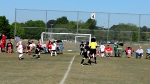 Soccer Field image 1