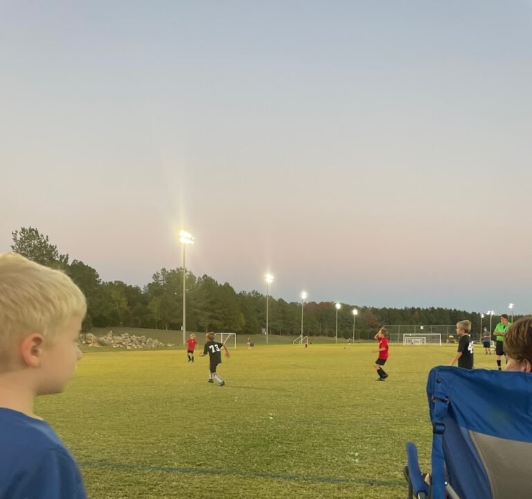 Soccer Field image 2