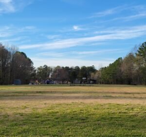 Soccer Field image 2