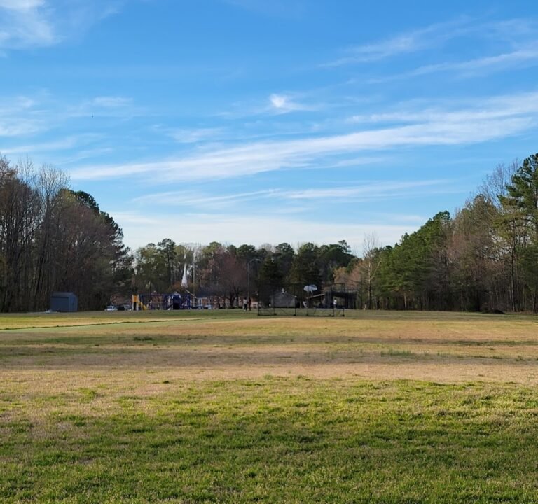 Soccer Field image 2