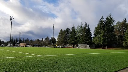 Soccer Field image 1
