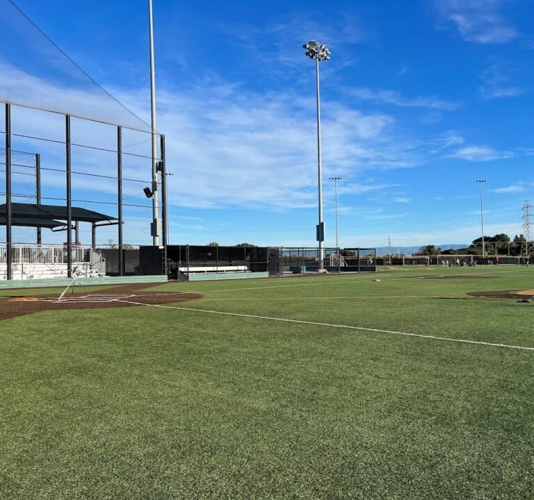 Soccer Field image 2