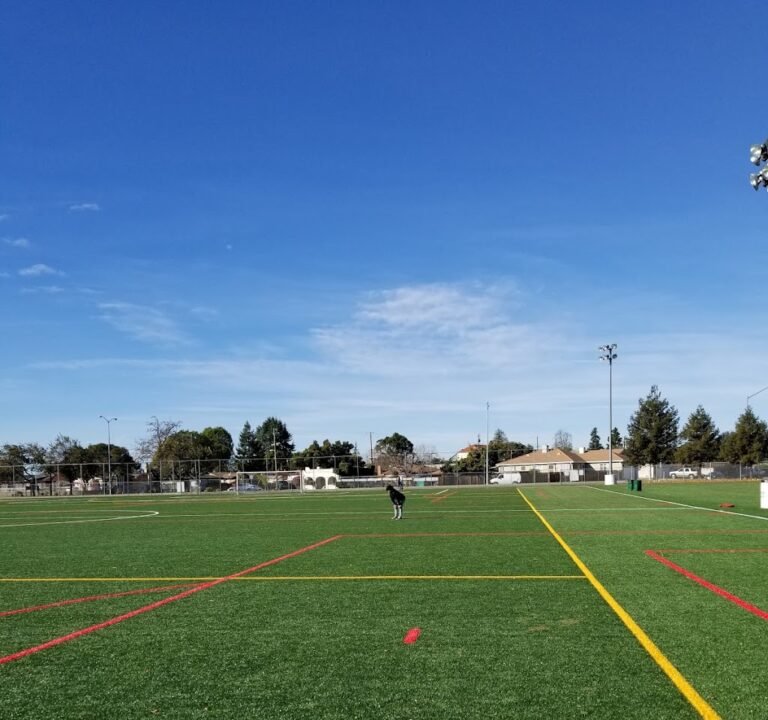 Soccer Field image 2