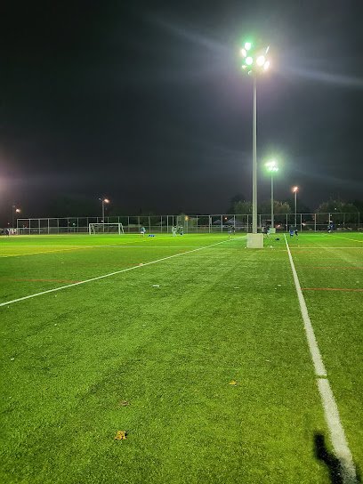 Soccer Field image 1