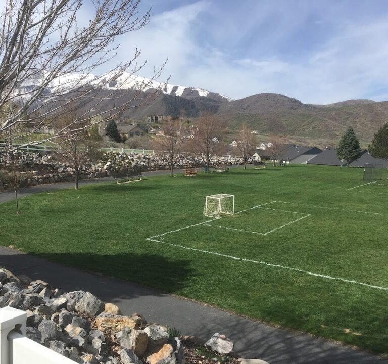 Soccer Field image 3