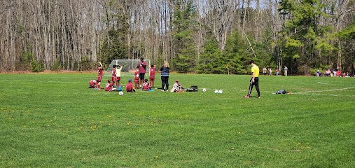 Soccer Field image 1