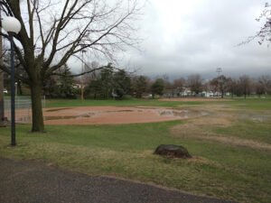 Soccer Field image 1