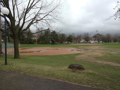 Soccer Field image 1