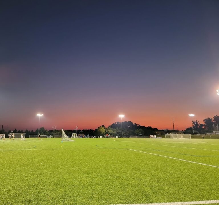Soccer Field image 2