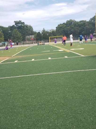 Soccer Field image 1