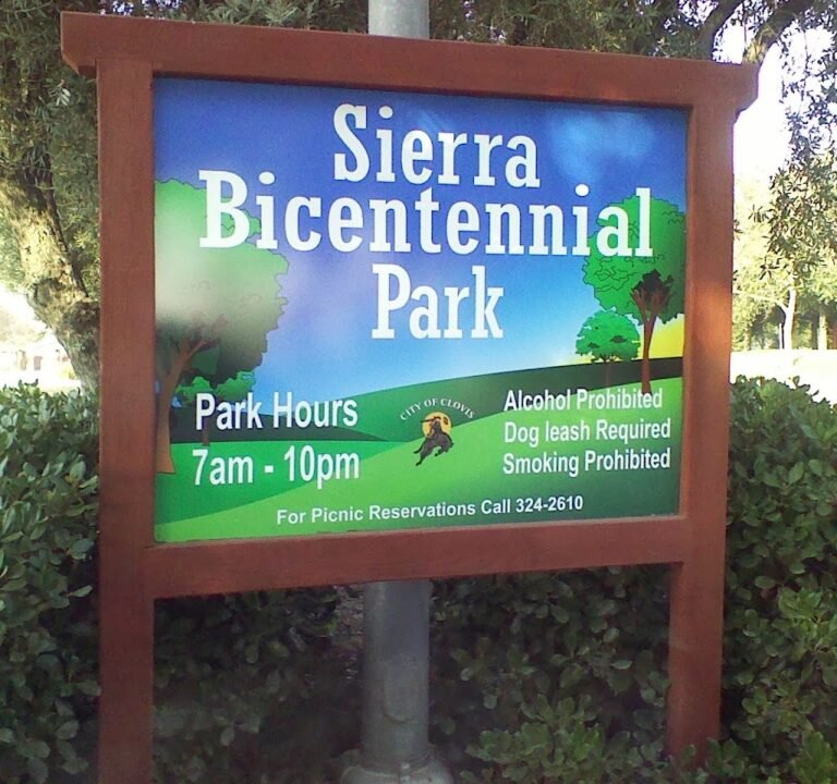 Soccer Field image 3