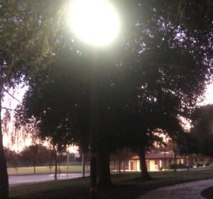 Soccer Field image 4