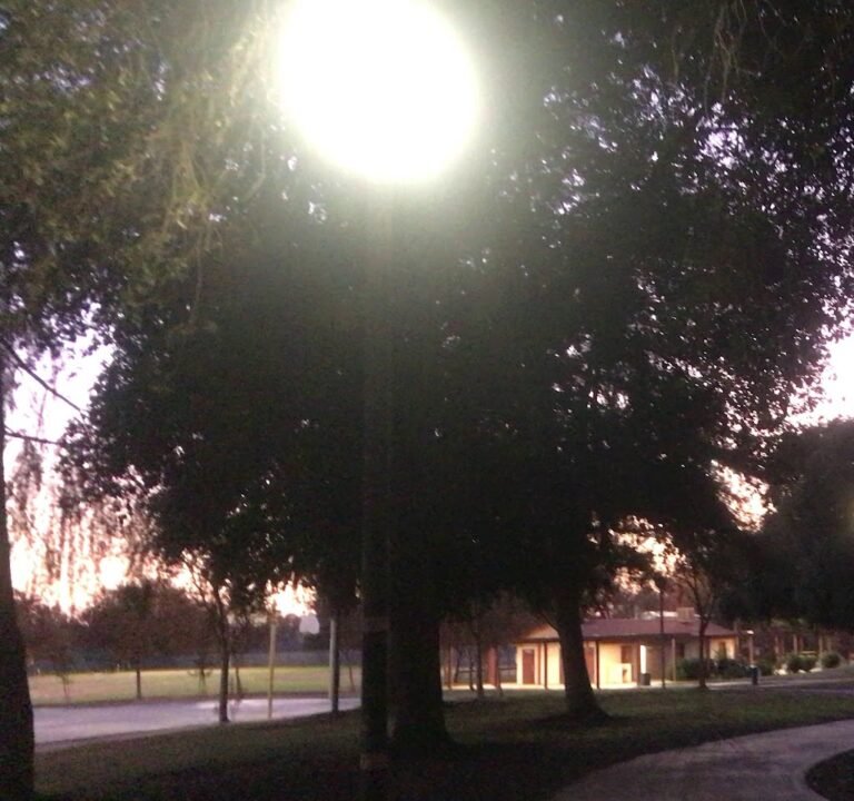 Soccer Field image 4