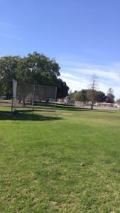 Soccer Field image 1
