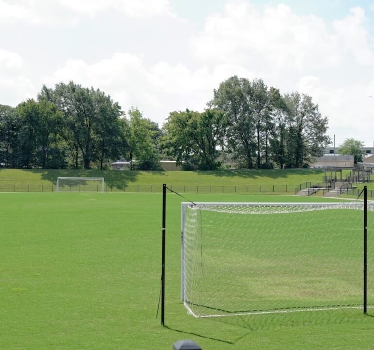 Soccer Field image 3
