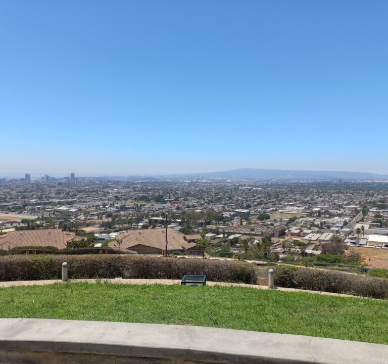 Soccer Field image 2