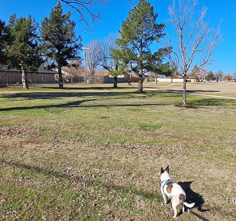 Soccer Field image 3