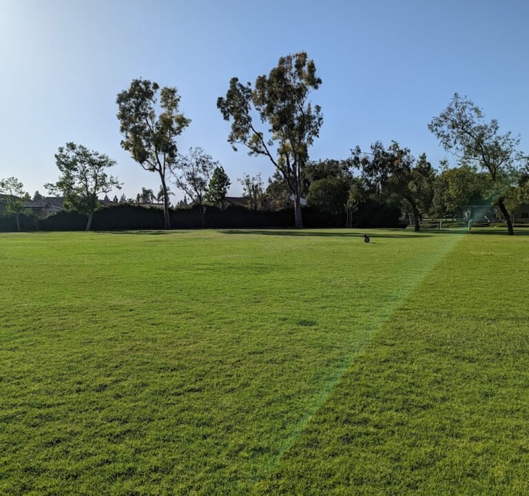 Soccer Field image 2