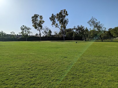 Soccer Field image 1