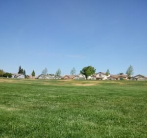 Soccer Field image 2