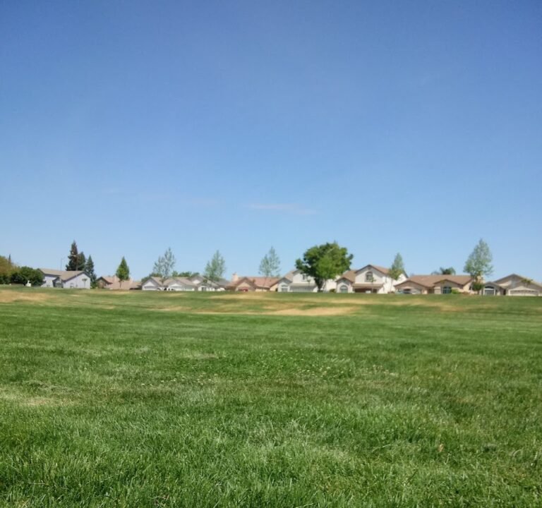 Soccer Field image 2