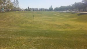 Soccer Field image 1