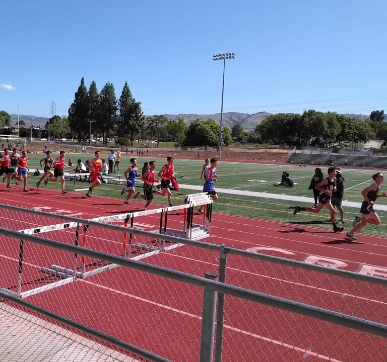 Soccer Field image 2