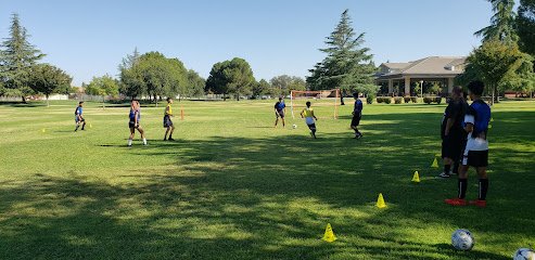 Soccer Field image 1