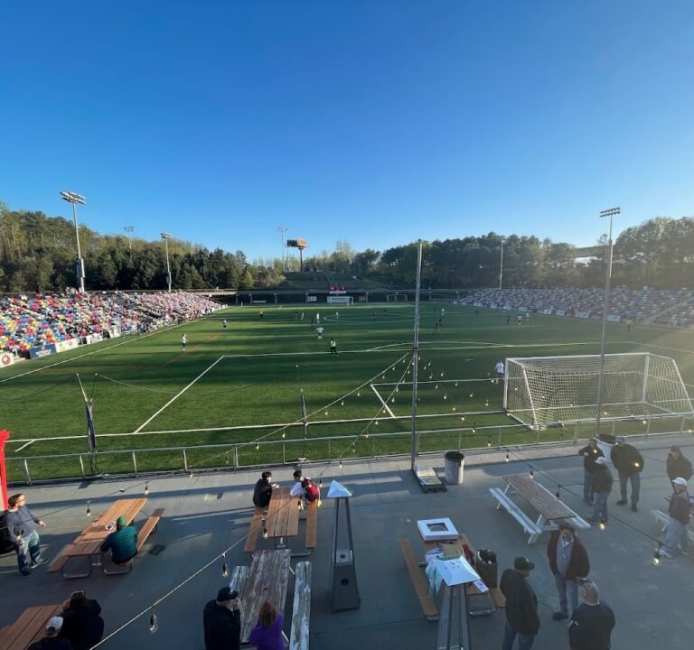 Soccer Field image 2